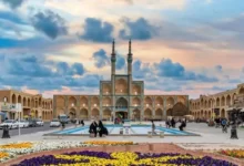 بهترین طراحی سایت شرکتی در یزد