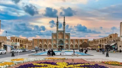 بهترین طراحی سایت شرکتی در یزد